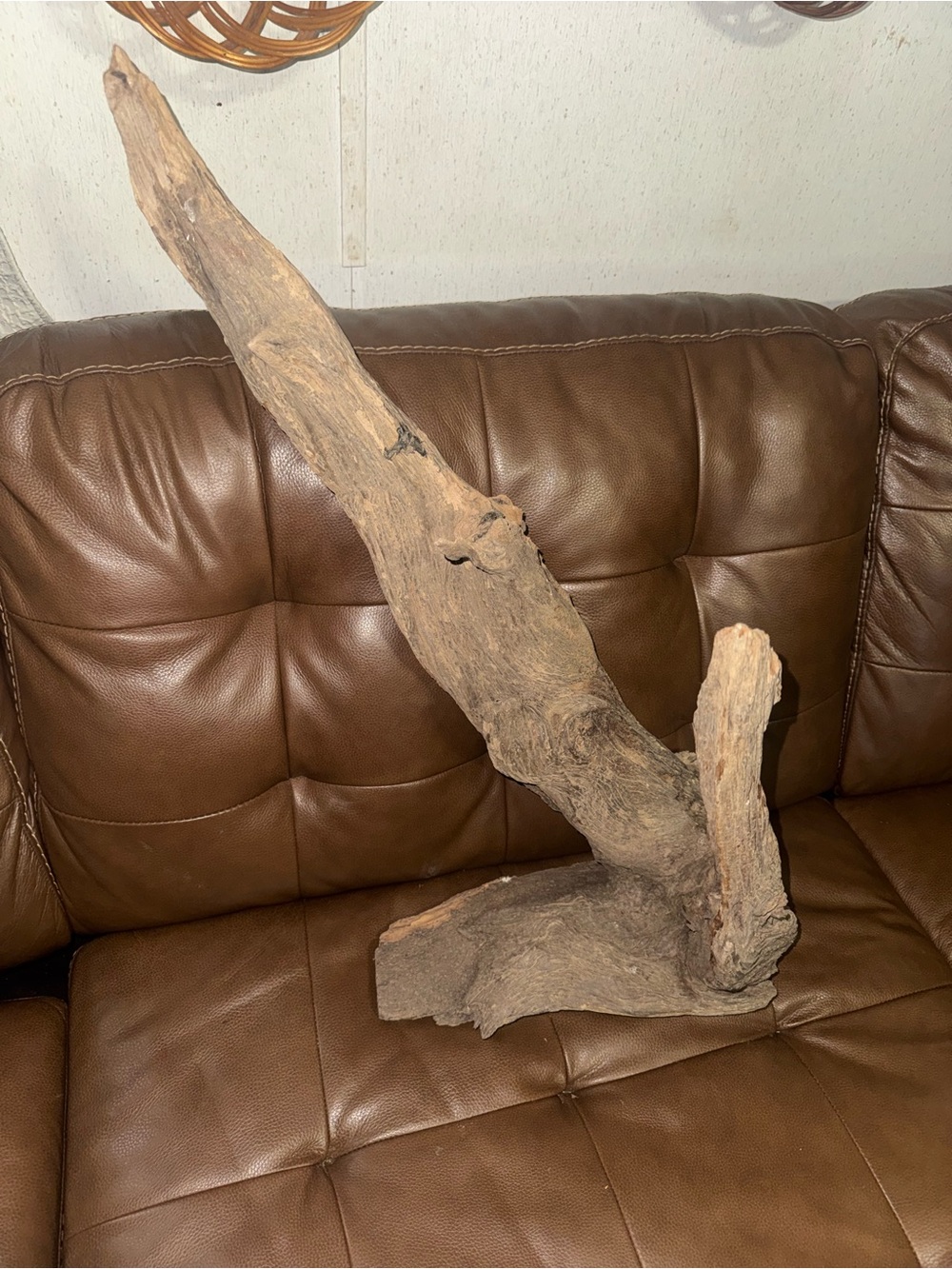 Natural Driftwood Decorative Sculpture or aquarium accessory